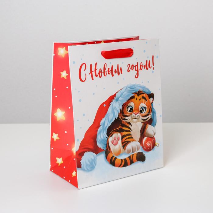 Пакет ламинированный вертикальный «Тигрёнок в шапочке», MS 18 × 23 × 10 см 
Пакет ламинированный вертикальный «Тигрёнок в шапочке», MS 18 × 23 × 10 см