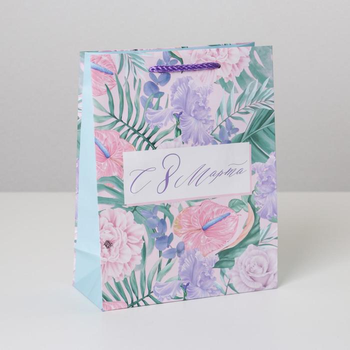 Пакет ламинированный вертикальный «Нежный праздник», MS 18 × 23 × 8 см
Пакет ламинированный вертикальный «Нежный праздник», MS 18 × 23 × 8 см