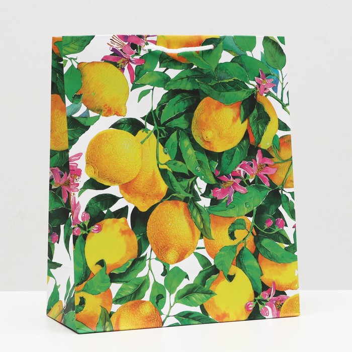 Пакет подарочный "Лимонный сад", 26 х 32 х 12 см
Пакет подарочный "Лимонный сад", 26 х 32 х 12 см