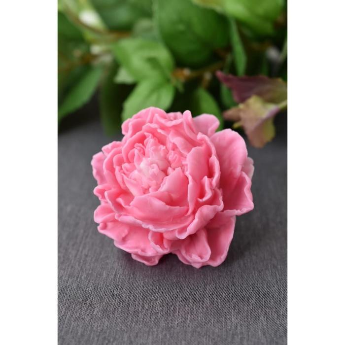 Силиконовая форма «Пион Арлекин S»
Силиконовая форма «Пион Арлекин S»