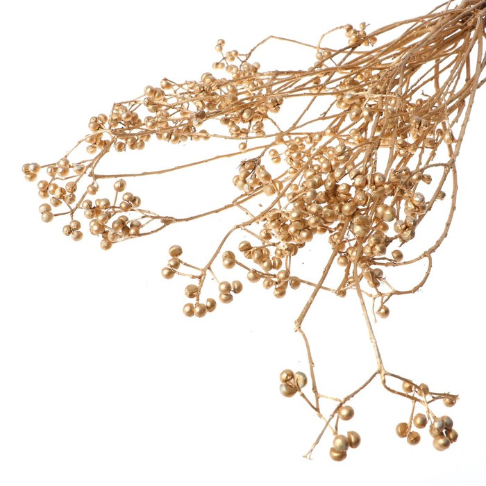 Сухоцвет «Гинкго» набор 6 шт, цвет золото
Сухоцвет «Гинкго» набор 6 шт, цвет золото