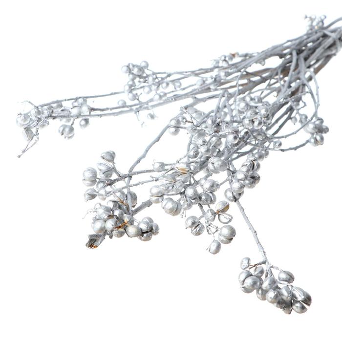 Сухоцвет «Гинкго» набор 6 шт, цвет серебро
Сухоцвет «Гинкго» набор 6 шт, цвет серебро