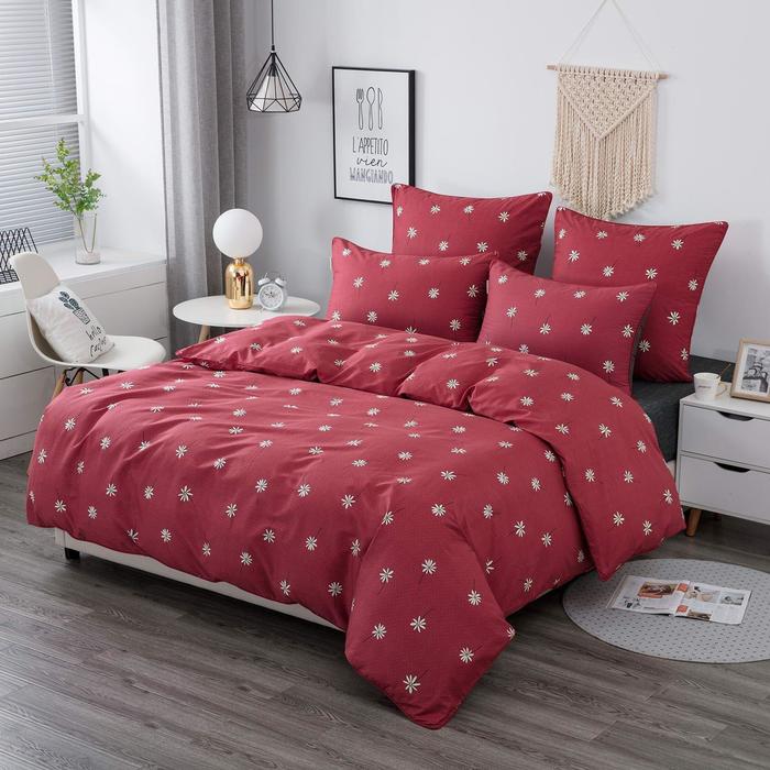 Постельное бельё 2 сп «Деми», размер 230х250 см, 180х220 см, 50х70 см - 2 шт
Постельное бельё 2 сп «Деми», размер 230х250 см, 180х220 см, 50х70 см - 2 шт