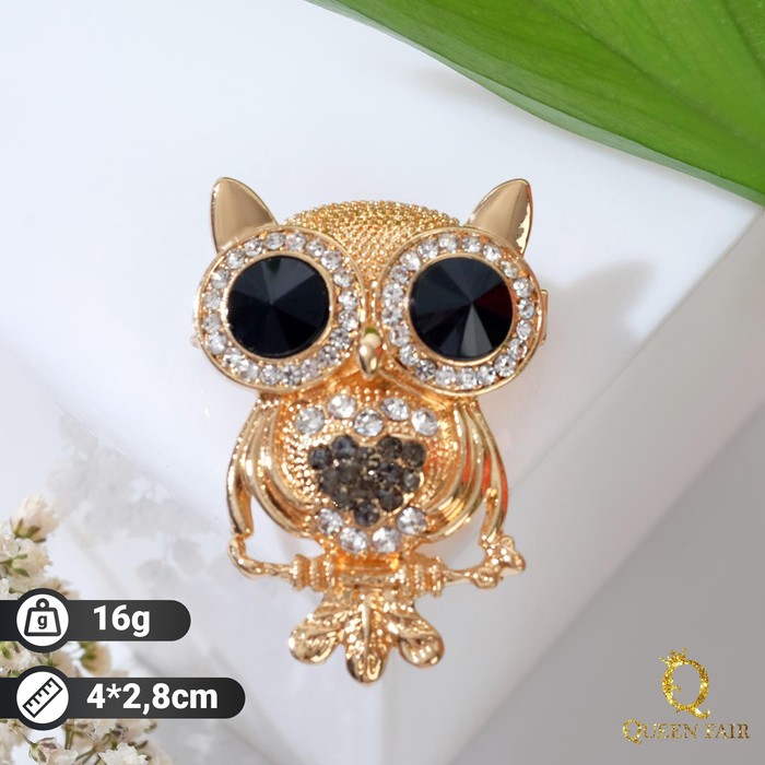 Брошь "Совушка" пучеглазая, цвет чёрно-белый в золоте
Брошь "Совушка" пучеглазая, цвет чёрно-белый в золоте