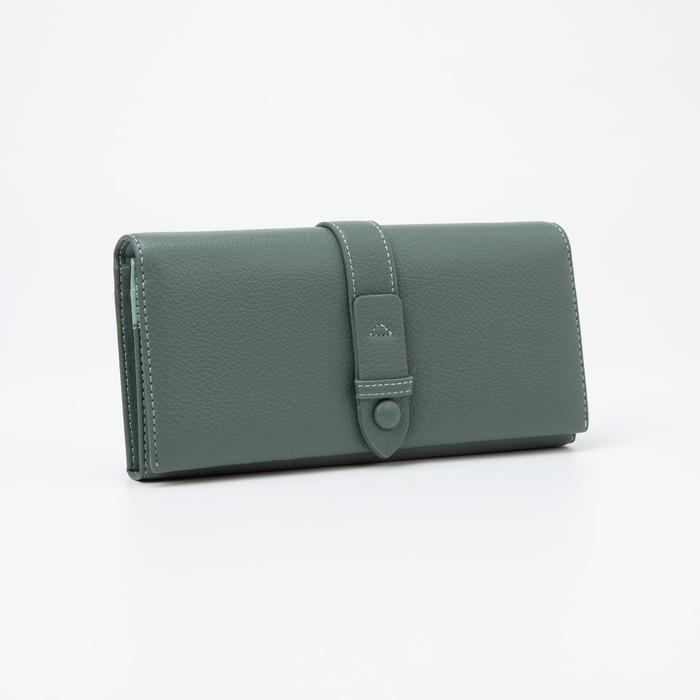 Кошелёк на магнитах, цвет зелёный
Кошелёк на магнитах, цвет зелёный