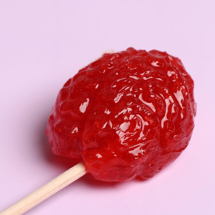 Леденец на палочке "Мозги", клубника, 37 г 
Леденец на палочке "Мозги", клубника, 37 г