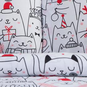 Комплект: пододеяльник и 2 наволочки Xmas cat 200*217 см, 50*70 см - 2 шт, 100% хлопок
Комплект: пододеяльник и 2 наволочки Xmas cat 200*217 см, 50*70 см - 2 шт, 100% хлопок
