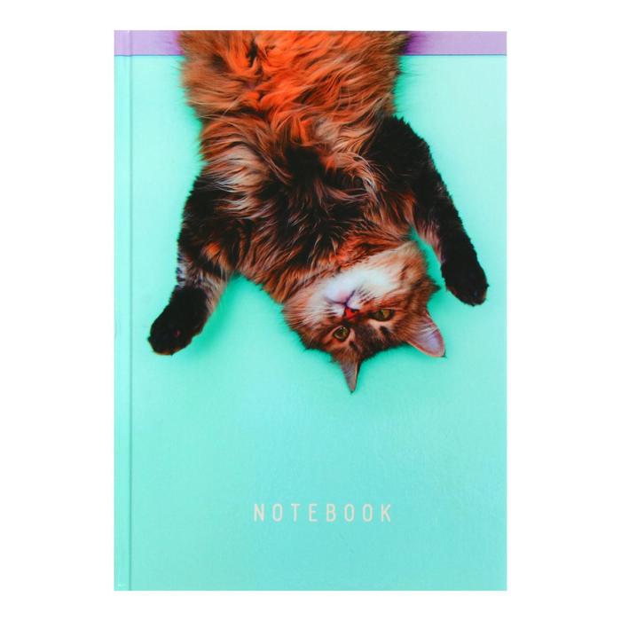 Книга для записей А5, 80 листов в клетку "Кошачье настроение", твёрдая обложка, глянцевая ламинация, блок 60 г/м2
Книга для записей А5, 80 листов в клетку "Кошачье настроение", твёрдая обложка, глянцевая ламинация, блок 60 г/м2