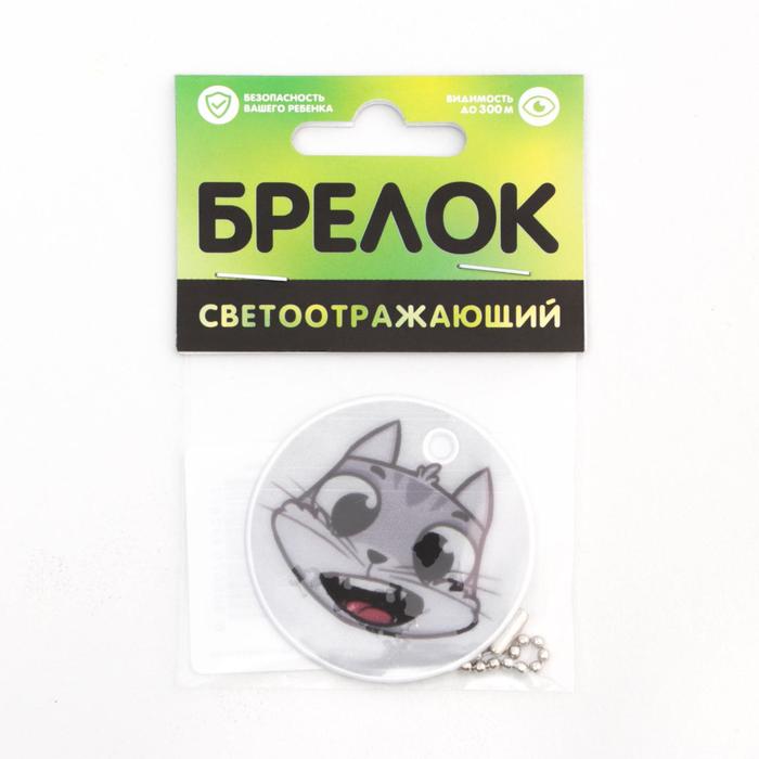 Брелок светоотражающий «Кот», 50 мм
Брелок светоотражающий «Кот», 50 мм