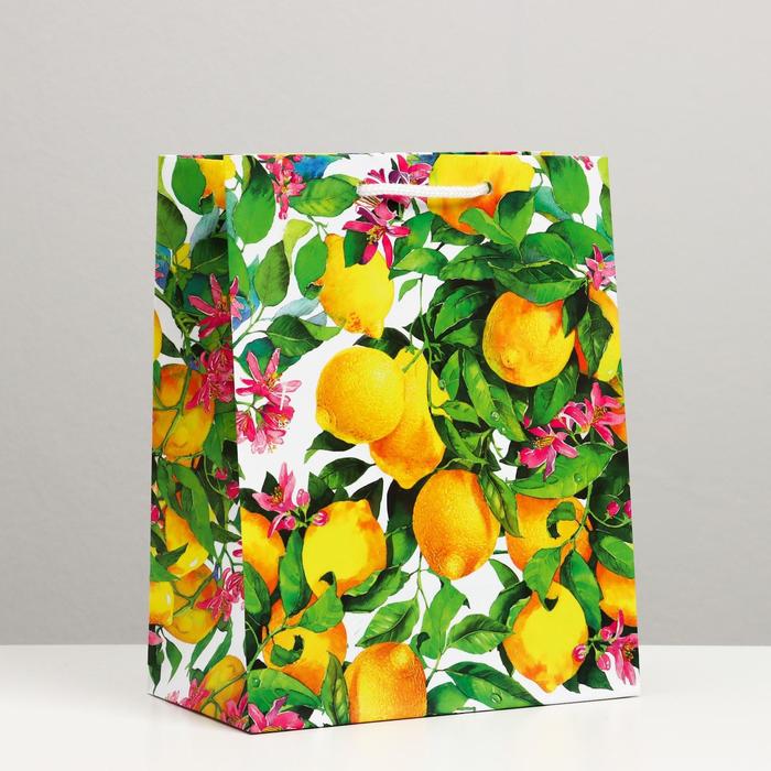 Пакет подарочный "Лимонный сад", 18 х 22,3 х 10 см
Пакет подарочный "Лимонный сад", 18 х 22,3 х 10 см