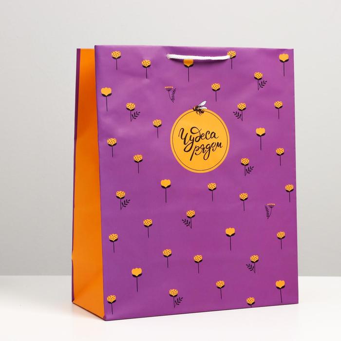 Пакет подарочный "Чудеса рядом", 26 х 32 х 12 см
Пакет подарочный "Чудеса рядом", 26 х 32 х 12 см