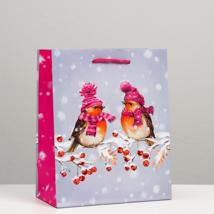Пакет подарочный "Снегири", 18 х 22,3 х 10 см
Пакет подарочный "Снегири", 18 х 22,3 х 10 см