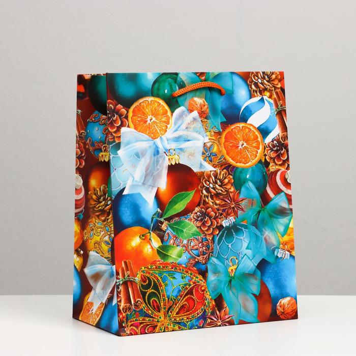 Пакет подарочный "Апельсины", 18 х 22,3 х 10 см
Пакет подарочный "Апельсины", 18 х 22,3 х 10 см