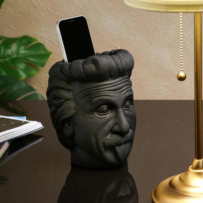 Кашпо "Эйнштейн", цвет черный, 21 см
Кашпо "Эйнштейн", цвет черный, 21 см