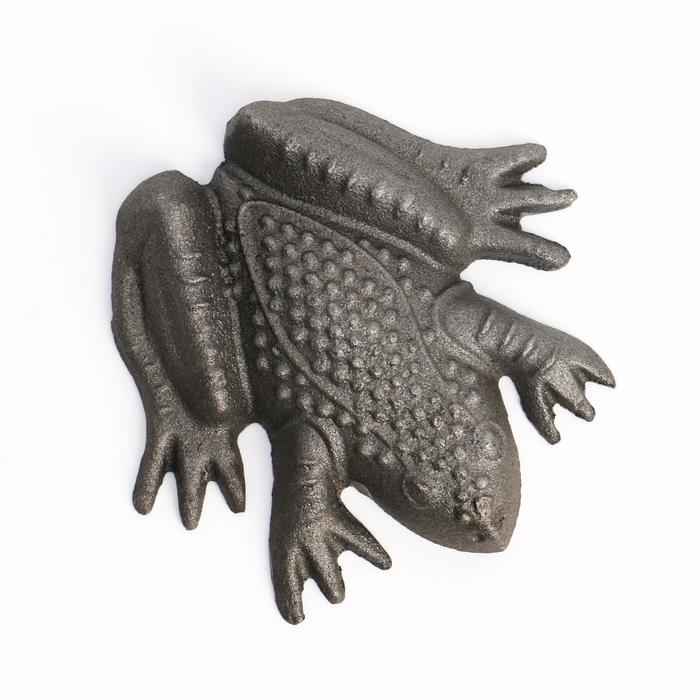 Лягушка
Лягушка