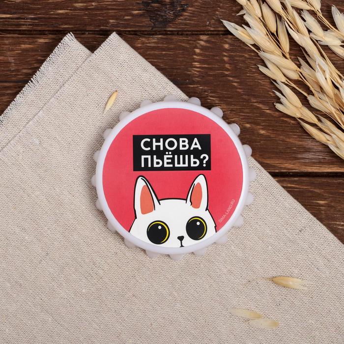 Открывашка «Снова пьёшь», 7 см
Открывашка «Снова пьёшь», 7 см
