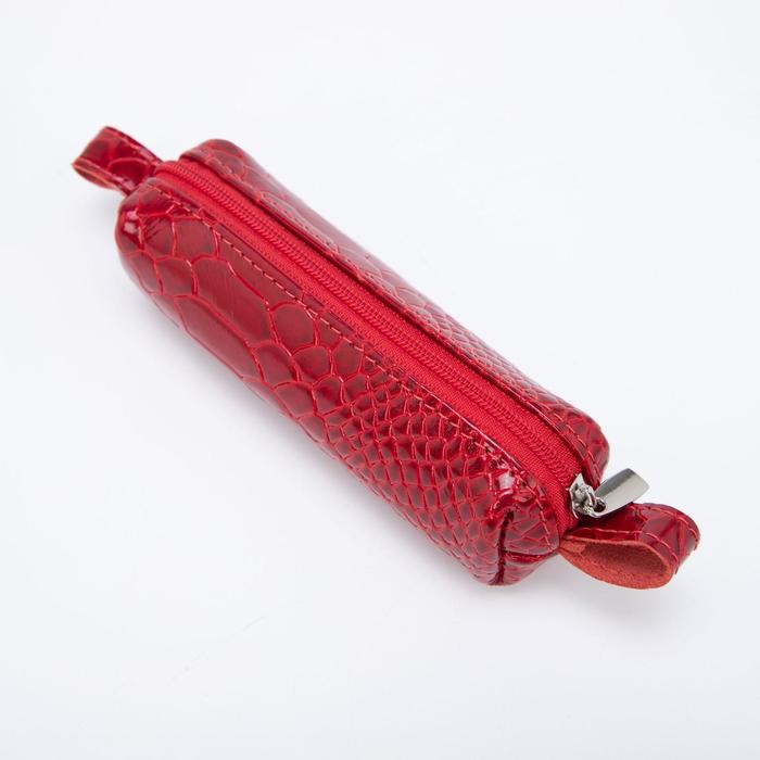 Ключница на молнии, длина 12 см, металлическое кольцо, цвет красный
Ключница на молнии, длина 12 см, металлическое кольцо, цвет красный