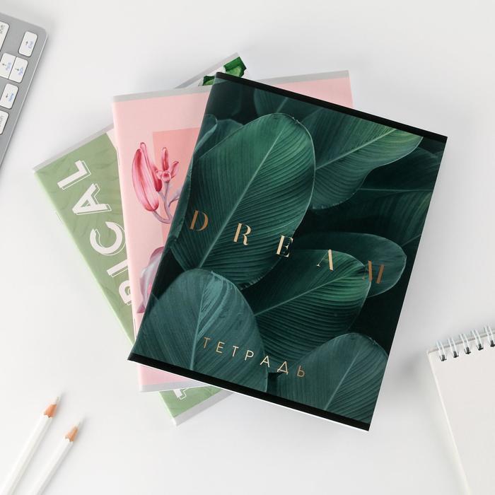 Комплект тетрадей А5, 96 листов на скрепке, 3 шт. Tropical, обложка мелованный картон 230 гр., внутренний блок в клетку 80 гр., белизна 96%
Комплект тетрадей А5, 96 листов на скрепке, 3 шт. Tropical, обложка мелованный картон 230 гр., внутренний блок в клетку 80 гр., белизна 96%