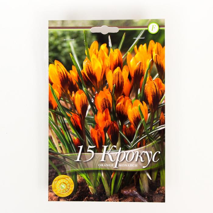 Крокус Оранж Монарх 6/7 р/р, 15 шт
Крокус Оранж Монарх 6/7 р/р, 15 шт