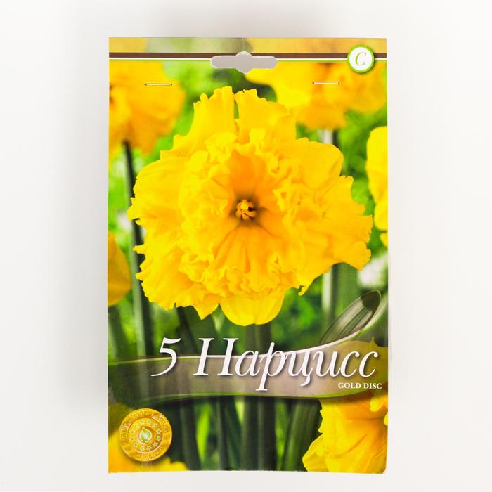 Нарцисс Голд Диск . 14/16 р/р, 5 шт
Нарцисс Голд Диск . 14/16 р/р, 5 шт