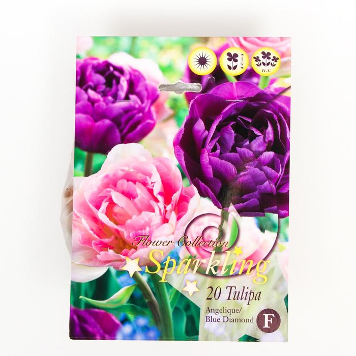 Тюльпан Анжелика/Блю Даймонд Микс 10/11 р/р, 20 шт
Тюльпан Анжелика/Блю Даймонд Микс 10/11 р/р, 20 шт