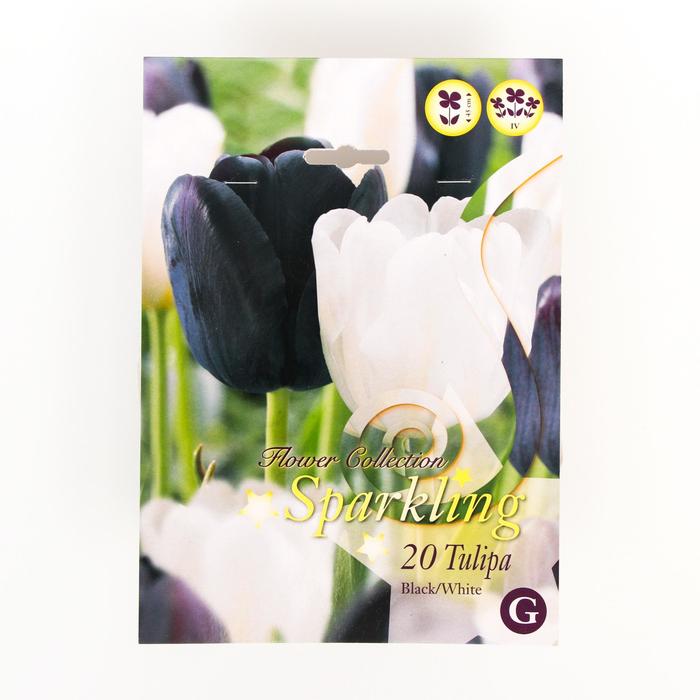 Тюльпан Блэк/Вайт Микс 10/11 р/р, 20 шт
Тюльпан Блэк/Вайт Микс 10/11 р/р, 20 шт