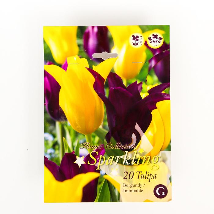 Тюльпан Бургунди/Айнемитбл Микс 10/11 р/р, 20 шт
Тюльпан Бургунди/Айнемитбл Микс 10/11 р/р, 20 шт
