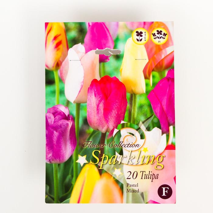 Тюльпан Триумф Пастел Микс 10/11 р/р, 20 шт 
Тюльпан Триумф Пастел Микс 10/11 р/р, 20 шт