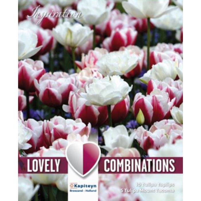 Тюльпан махровый Ред энд Вайт Микс 12/+ р-р, 15 шт
Тюльпан махровый Ред энд Вайт Микс 12/+ р-р, 15 шт