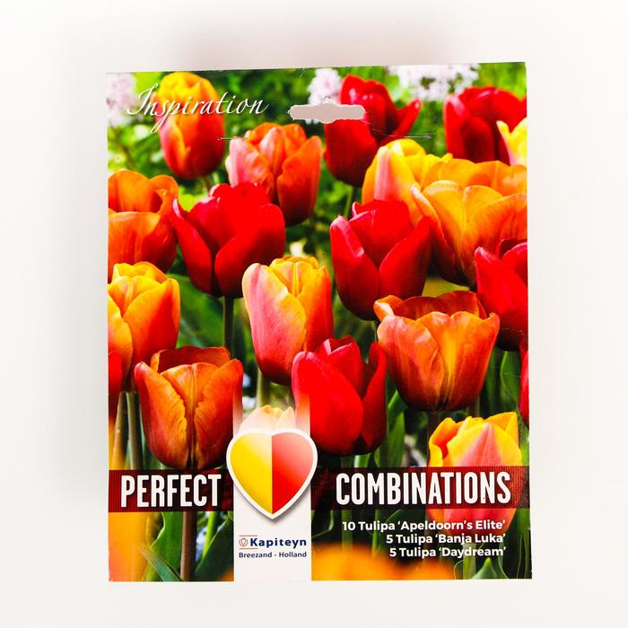 Тюльпан Ред Оранж Еллоу Бленд Микс 11/12 р-р, 20 шт
Тюльпан Ред Оранж Еллоу Бленд Микс 11/12 р-р, 20 шт