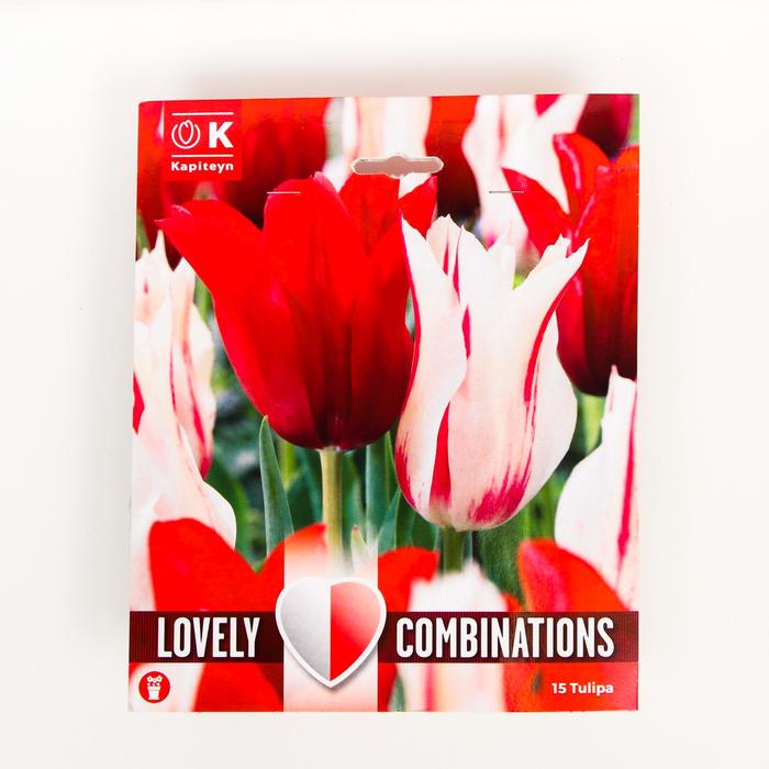 Тюльпан Ред энд Вайт Микс 12/+ р-р, 15 шт
Тюльпан Ред энд Вайт Микс 12/+ р-р, 15 шт