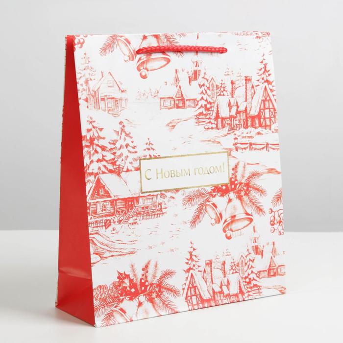 Пакет ламинированный вертикальный «Новогодняя пора», ML 23 × 27 × 8 см
Пакет ламинированный вертикальный «Новогодняя пора», ML 23 × 27 × 8 см