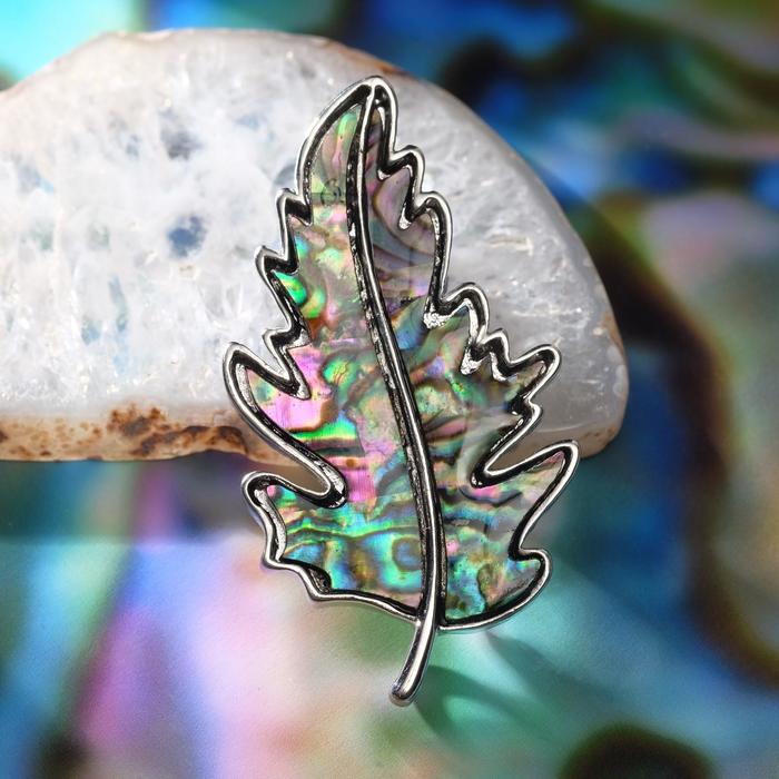 Броши "Галиотис" листик, цвет зелёный
Броши "Галиотис" листик, цвет зелёный