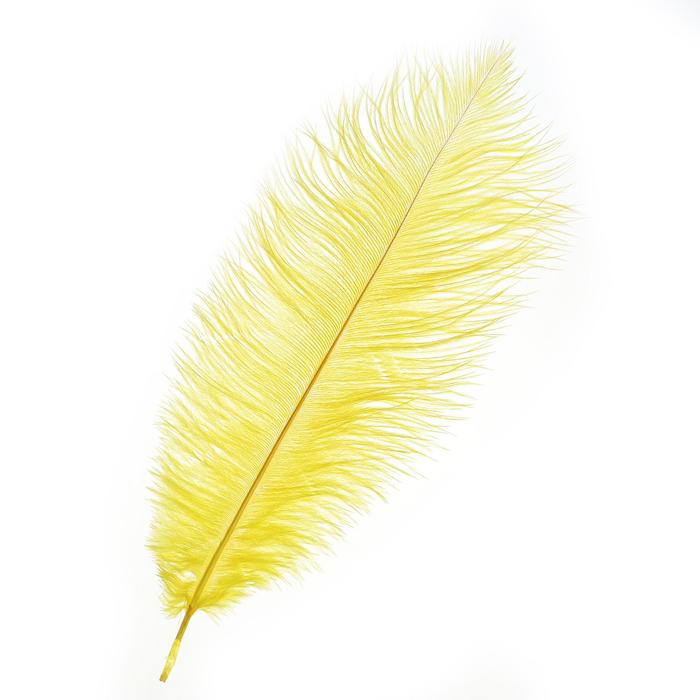 Перо для декора, размер: 30-35 см, цвет жёлтый 
Перо для декора, размер: 30-35 см, цвет жёлтый