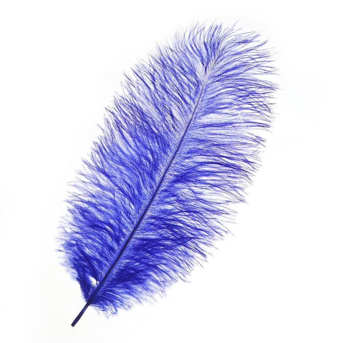 Перо для декора, размер: 30-35 см, цвет синий
Перо для декора, размер: 30-35 см, цвет синий