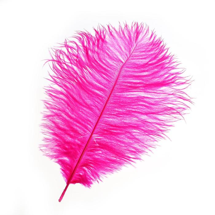Перо для декора, размер: 30-35 см, цвет фуксия
Перо для декора, размер: 30-35 см, цвет фуксия