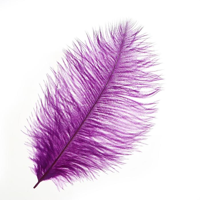 Перо для декора, размер: 30-35 см, цвет фиолетовый
Перо для декора, размер: 30-35 см, цвет фиолетовый