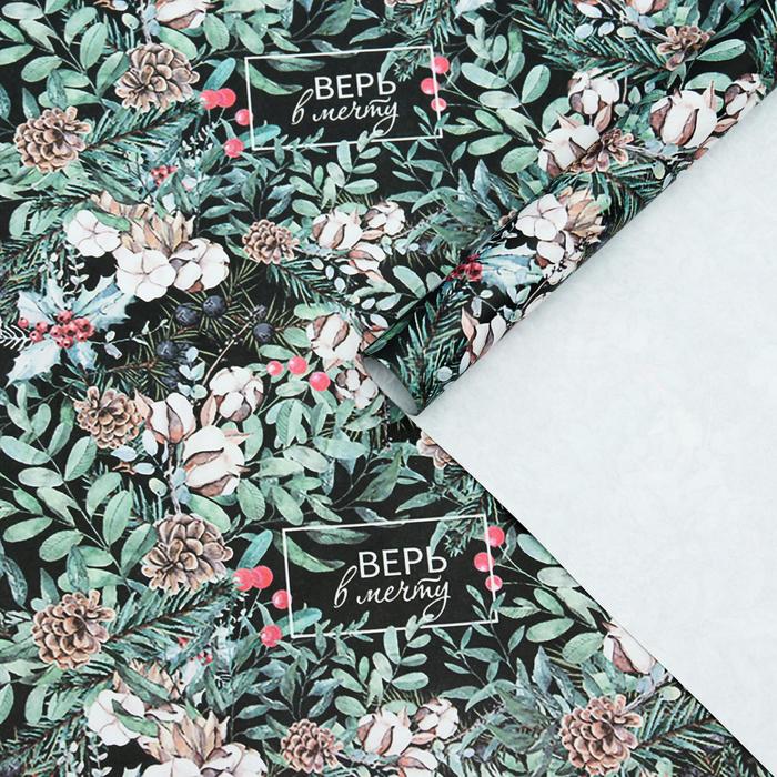 Бумага упаковочная крафт "Верь в мечту", 50 х 70 см
Бумага упаковочная крафт "Верь в мечту", 50 х 70 см