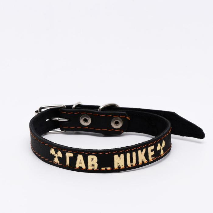 Ошейник кожаный однослойный, тиснёный «Ядерный гав», 48х2 см, ОШ 32-43 см, чёрный с золотом
Ошейник кожаный однослойный, тиснёный «Ядерный гав», 48х2 см, ОШ 32-43 см, чёрный с золотом