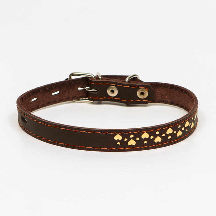 Ошейник кожаный однослойный, тиснёный «Сердечки», 48х2 см, ОШ 32-43 см, коричневый с золотом
Ошейник кожаный однослойный, тиснёный «Сердечки», 48х2 см, ОШ 32-43 см, коричневый с золотом