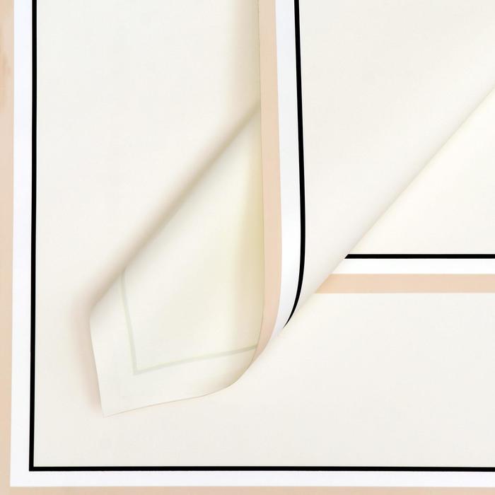 Пленка матовая "Двойной кант", белый, 0,58 х 0,58 м
Пленка матовая "Двойной кант", белый, 0,58 х 0,58 м