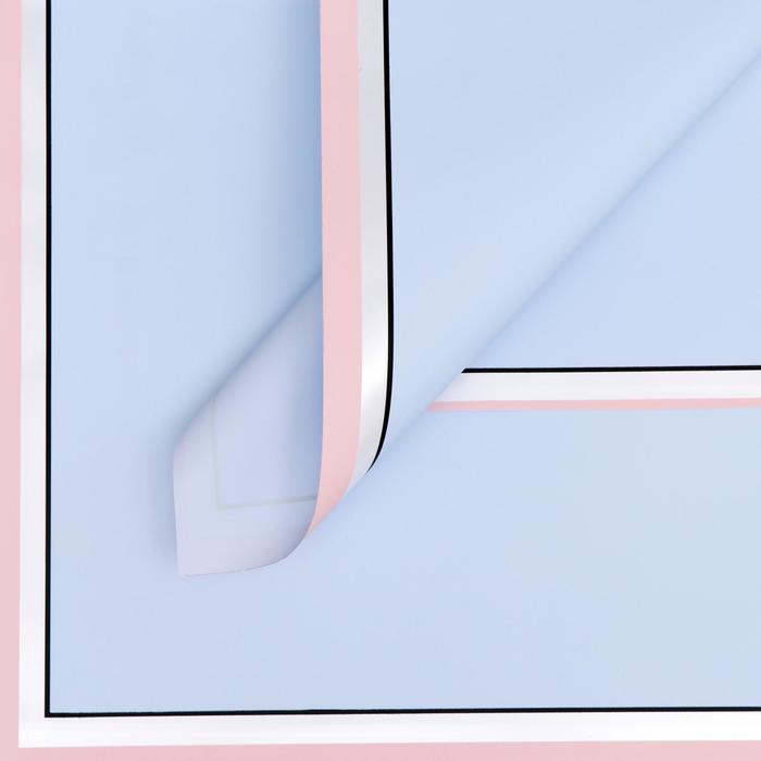 Пленка матовая "Двойной кант", голубой, 0,58 х 0,58 м
Пленка матовая "Двойной кант", голубой, 0,58 х 0,58 м