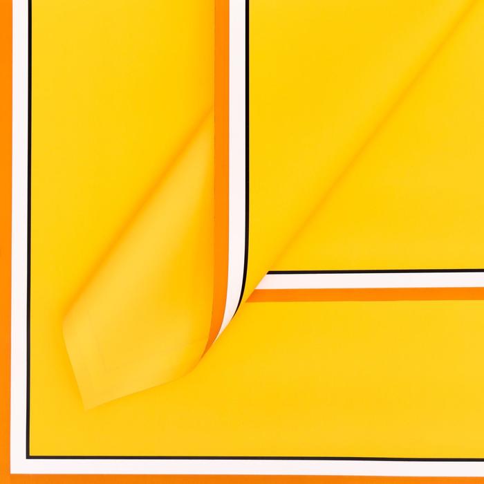 Пленка матовая "Двойной кант", жёлтый, 0,58 х 0,58 м 
Пленка матовая "Двойной кант", жёлтый, 0,58 х 0,58 м