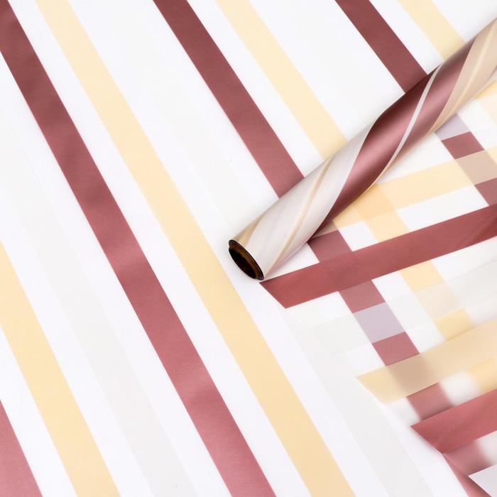 Пленка матовая "Радуга", белый-кремовый-лиловый, 0,58 х 10 м
Пленка матовая "Радуга", белый-кремовый-лиловый, 0,58 х 10 м