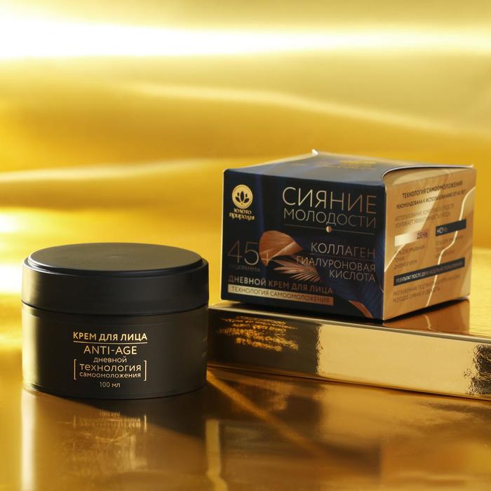 Крем для лица антивозрастной 45+ «Сияние молодости», дневной, 100 мл
Крем для лица антивозрастной 45+ «Сияние молодости», дневной, 100 мл