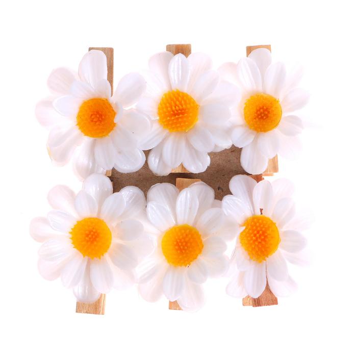 Прищепки для декора «Ромашки» 6 шт.
Прищепки для декора «Ромашки» 6 шт.