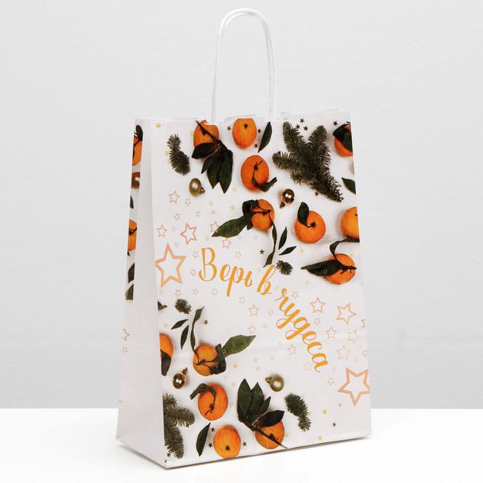 Пакет крафт "Верь в чудеса", 18 х 8 х 25 см
Пакет крафт "Верь в чудеса", 18 х 8 х 25 см