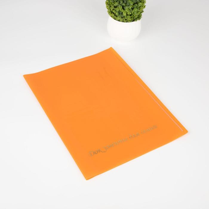 Папка для семейных документов, 1 комплект, цвет оранжевый
Папка для семейных документов, 1 комплект, цвет оранжевый