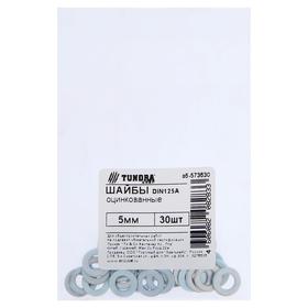 Шайба ТУНДРА krep DIN125A 5 мм, цинк, 30 шт.
Шайба ТУНДРА krep DIN125A 5 мм, цинк, 30 шт.