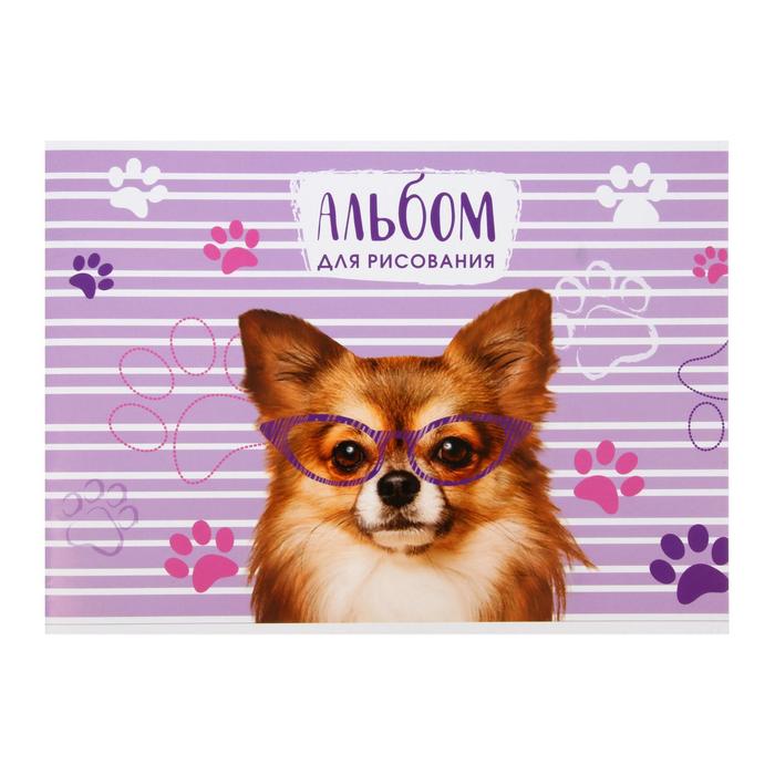 Альбом для рисования А4, 12 листов на скрепке "Шпиц", бумажная обложка, блок 100 г/м²
Альбом для рисования А4, 12 листов на скрепке "Шпиц", бумажная обложка, блок 100 г/м²